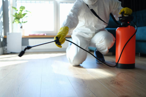 Reliable Odor Removal contractor in Springfield, GA by Crime Scene Cleaner Online