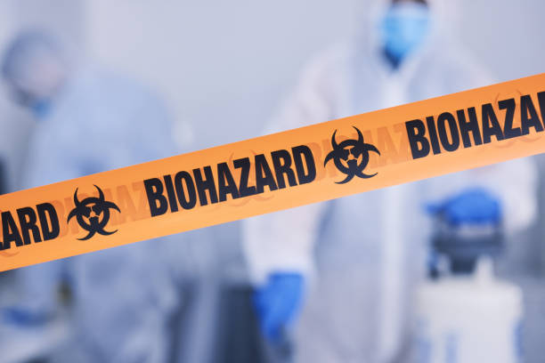 Professional Odor Removal technician working in Springfield, GA